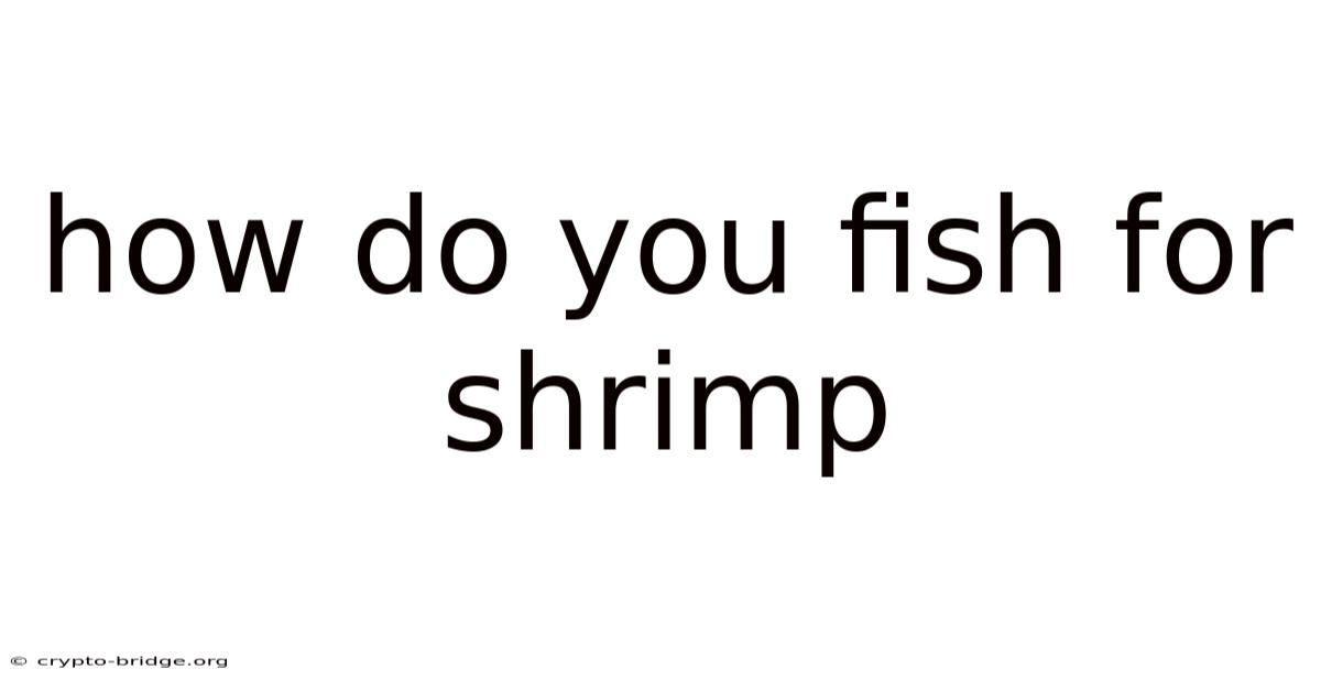 How Do You Fish For Shrimp