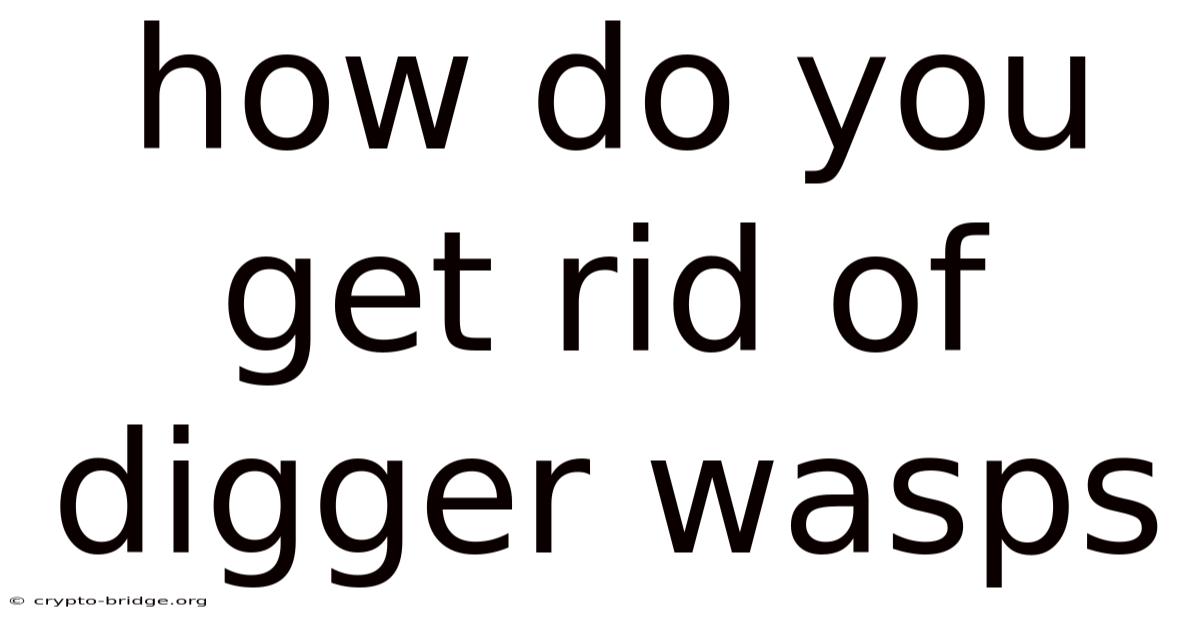 How Do You Get Rid Of Digger Wasps
