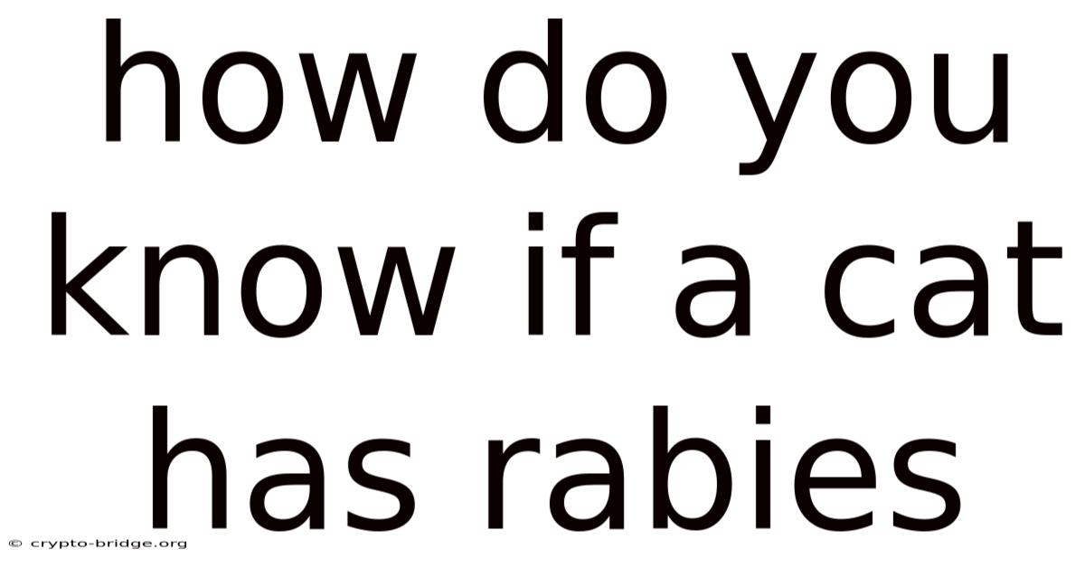 How Do You Know If A Cat Has Rabies