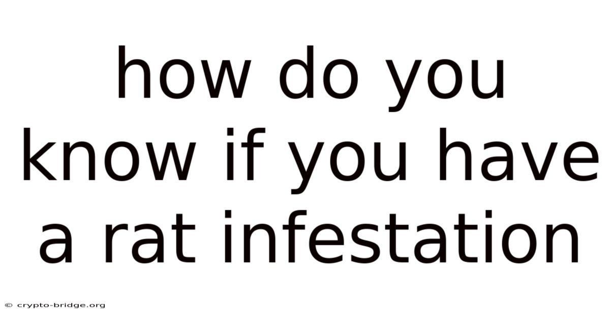How Do You Know If You Have A Rat Infestation