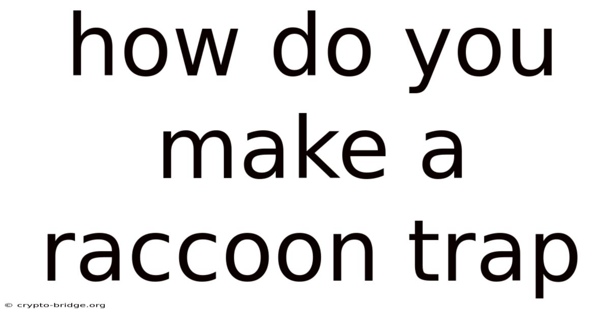 How Do You Make A Raccoon Trap