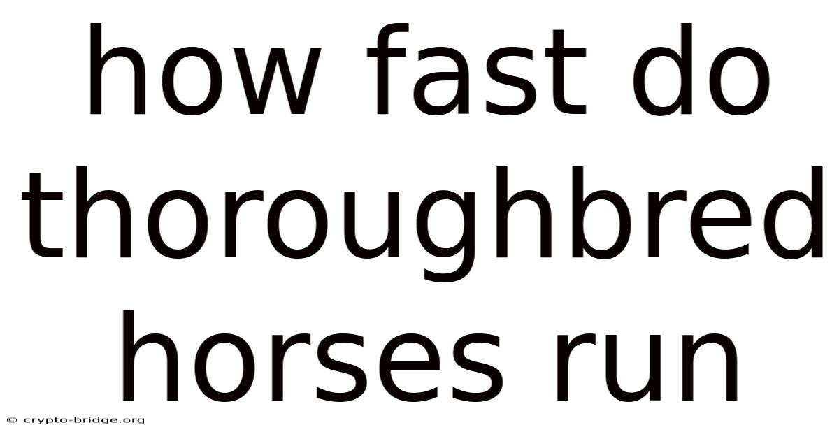 How Fast Do Thoroughbred Horses Run