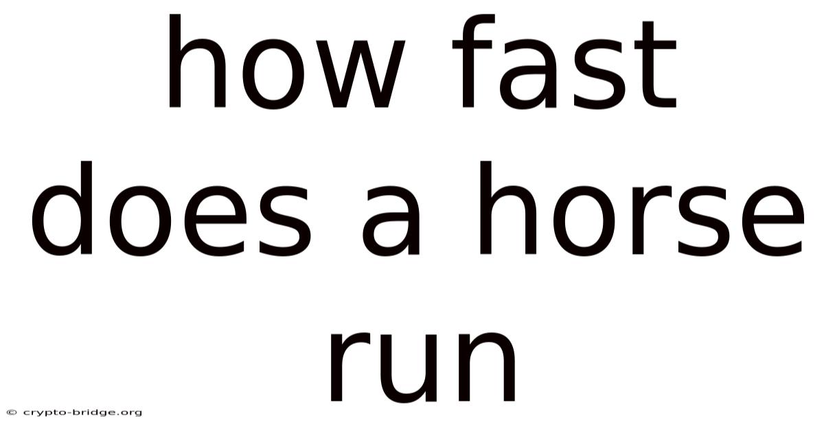 How Fast Does A Horse Run