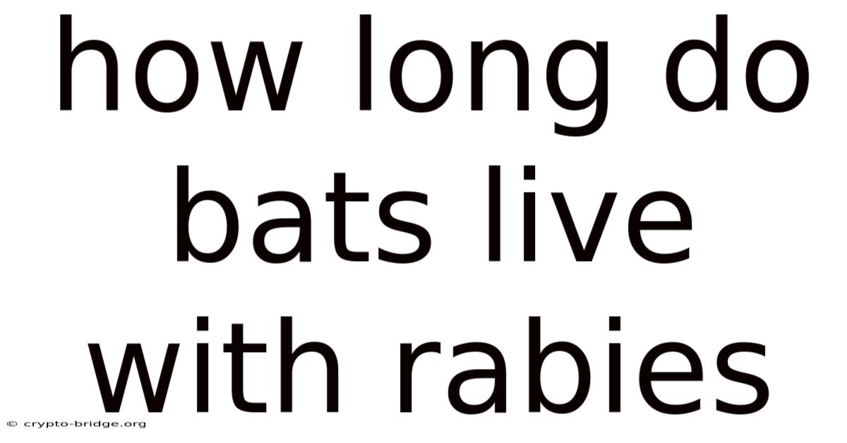 How Long Do Bats Live With Rabies