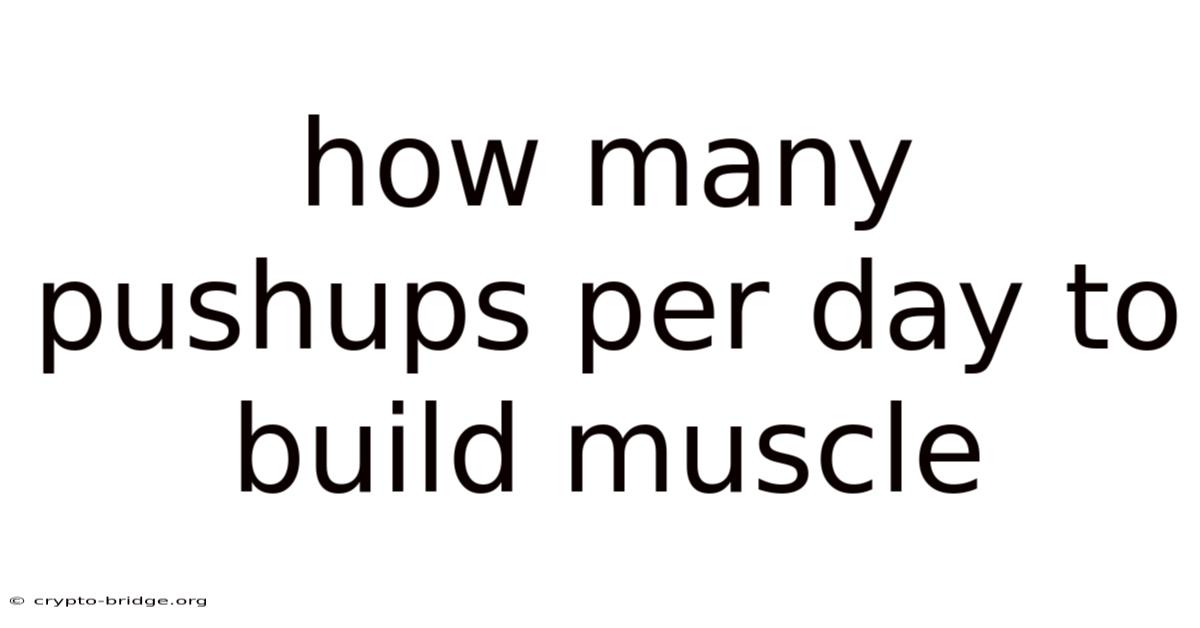 How Many Pushups Per Day To Build Muscle