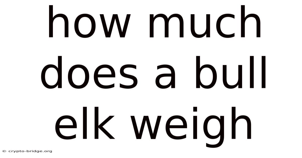 How Much Does A Bull Elk Weigh