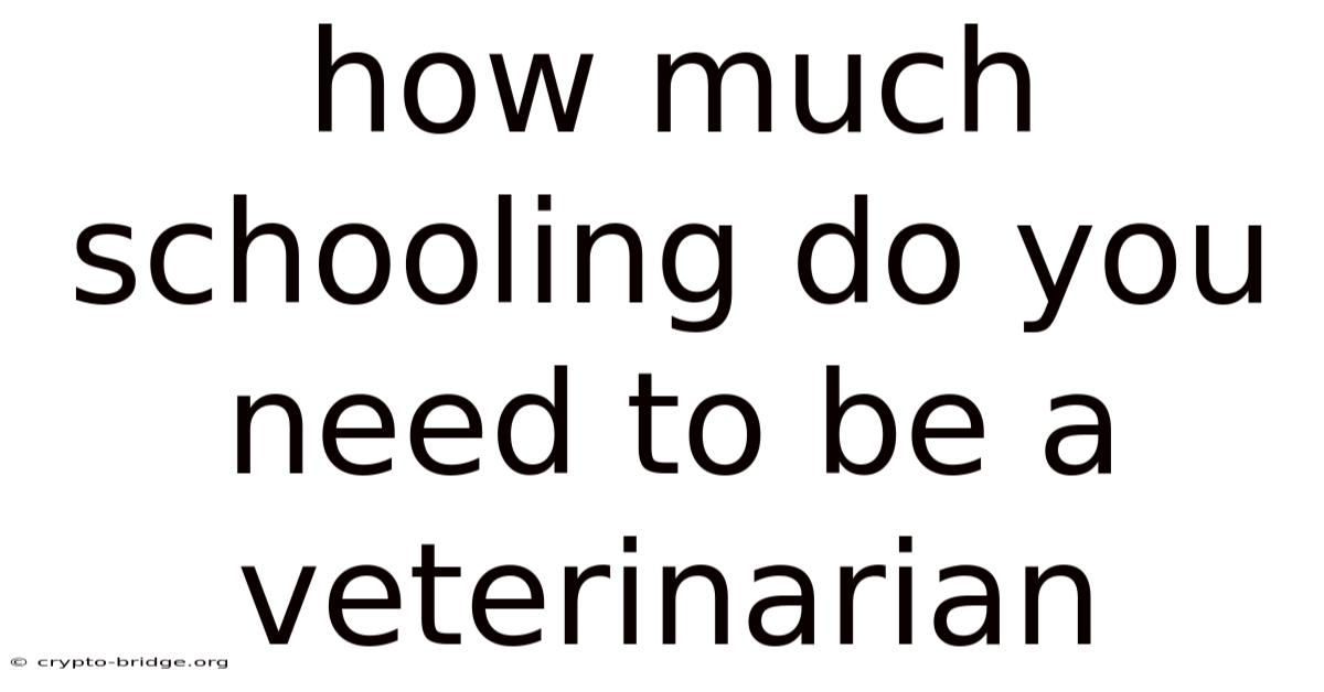 How Much Schooling Do You Need To Be A Veterinarian