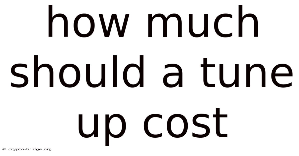 How Much Should A Tune Up Cost
