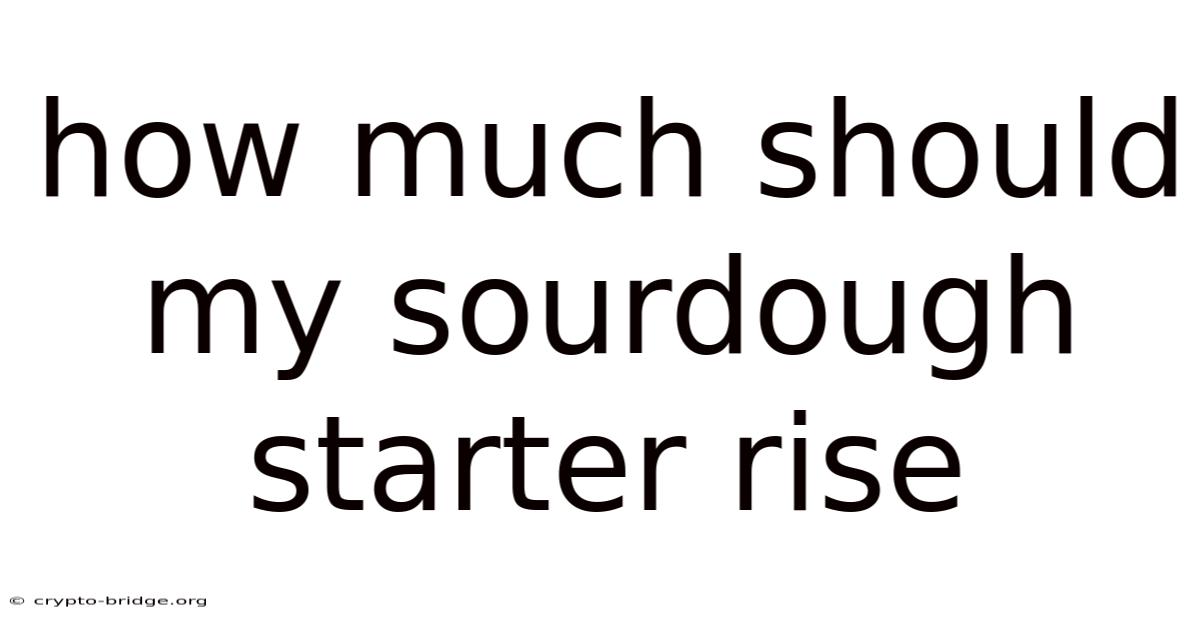 How Much Should My Sourdough Starter Rise