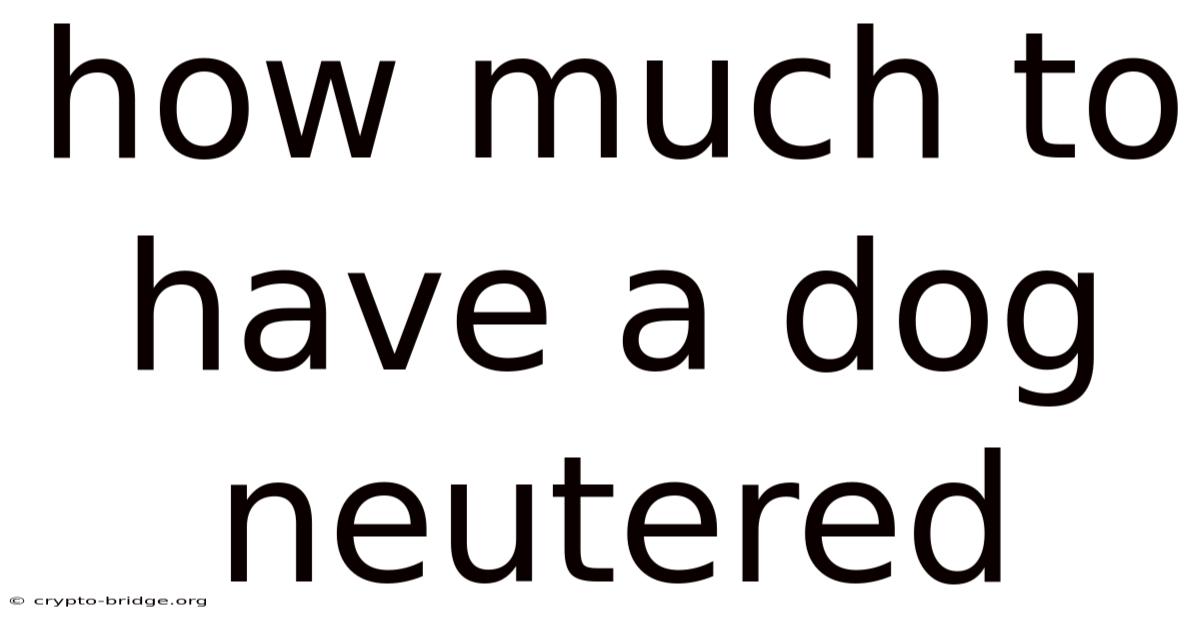 How Much To Have A Dog Neutered