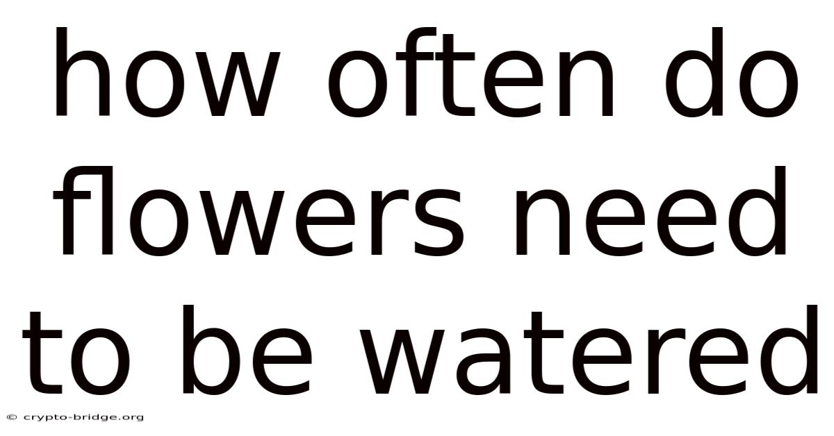 How Often Do Flowers Need To Be Watered