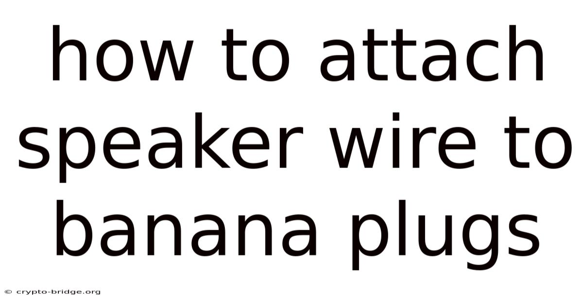 How To Attach Speaker Wire To Banana Plugs