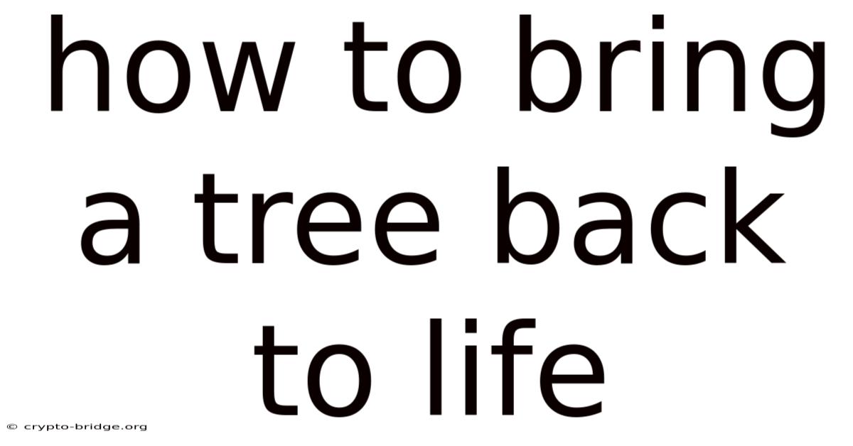 How To Bring A Tree Back To Life