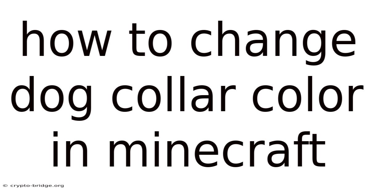 How To Change Dog Collar Color In Minecraft