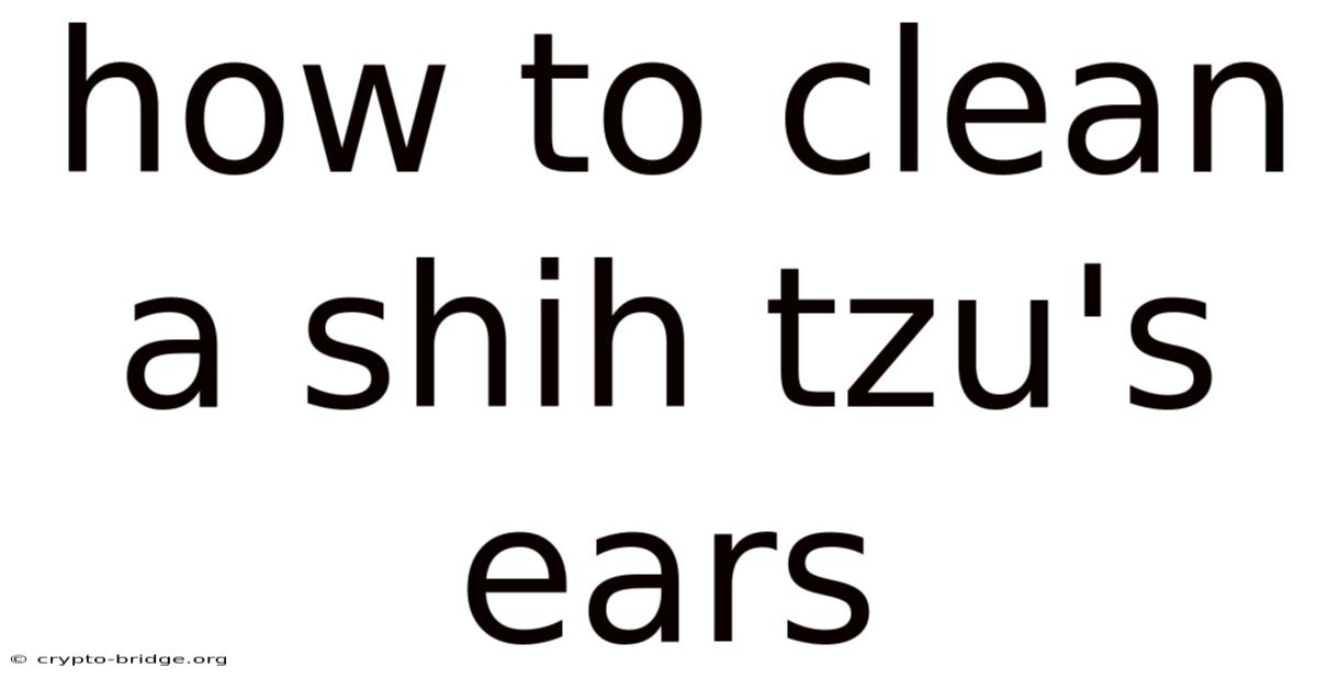 How To Clean A Shih Tzu's Ears