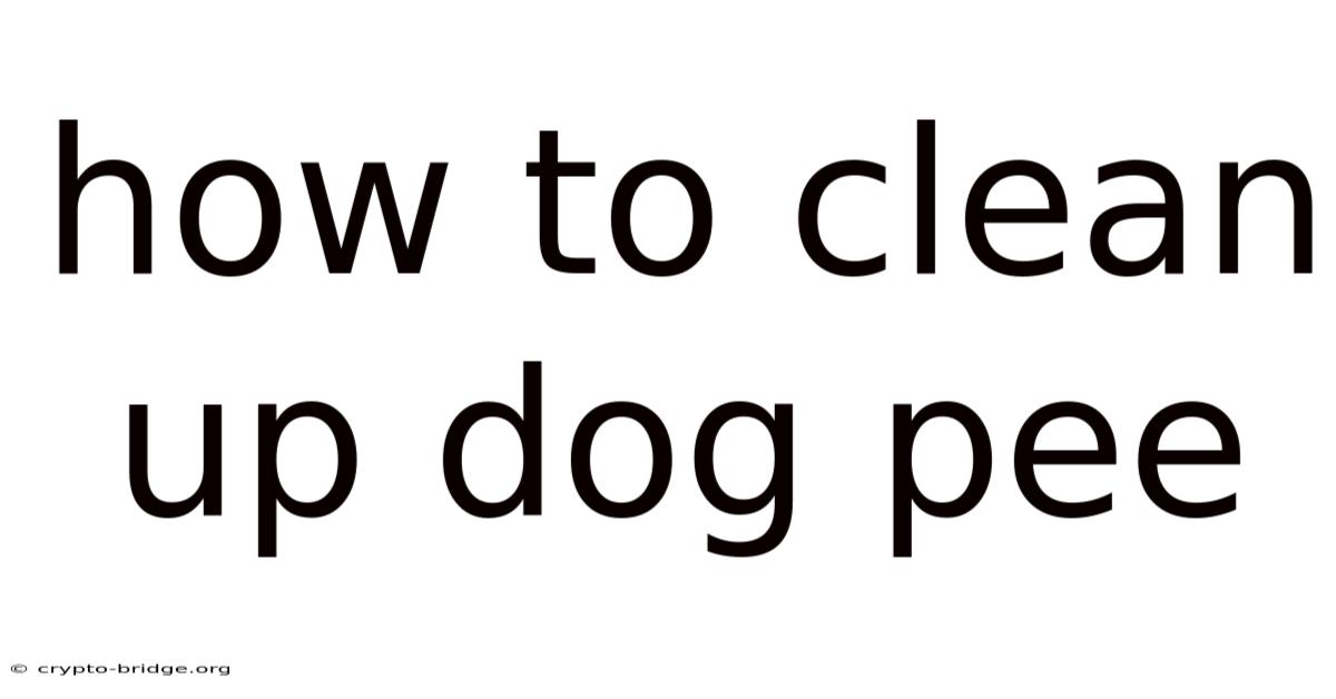 How To Clean Up Dog Pee