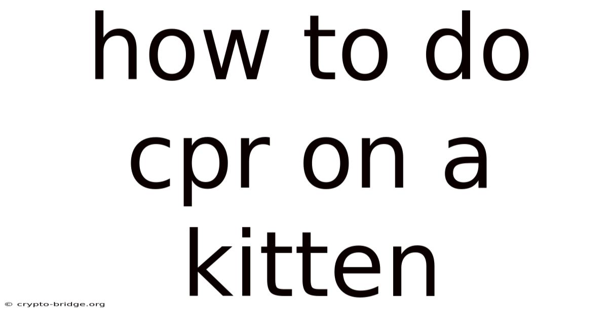 How To Do Cpr On A Kitten