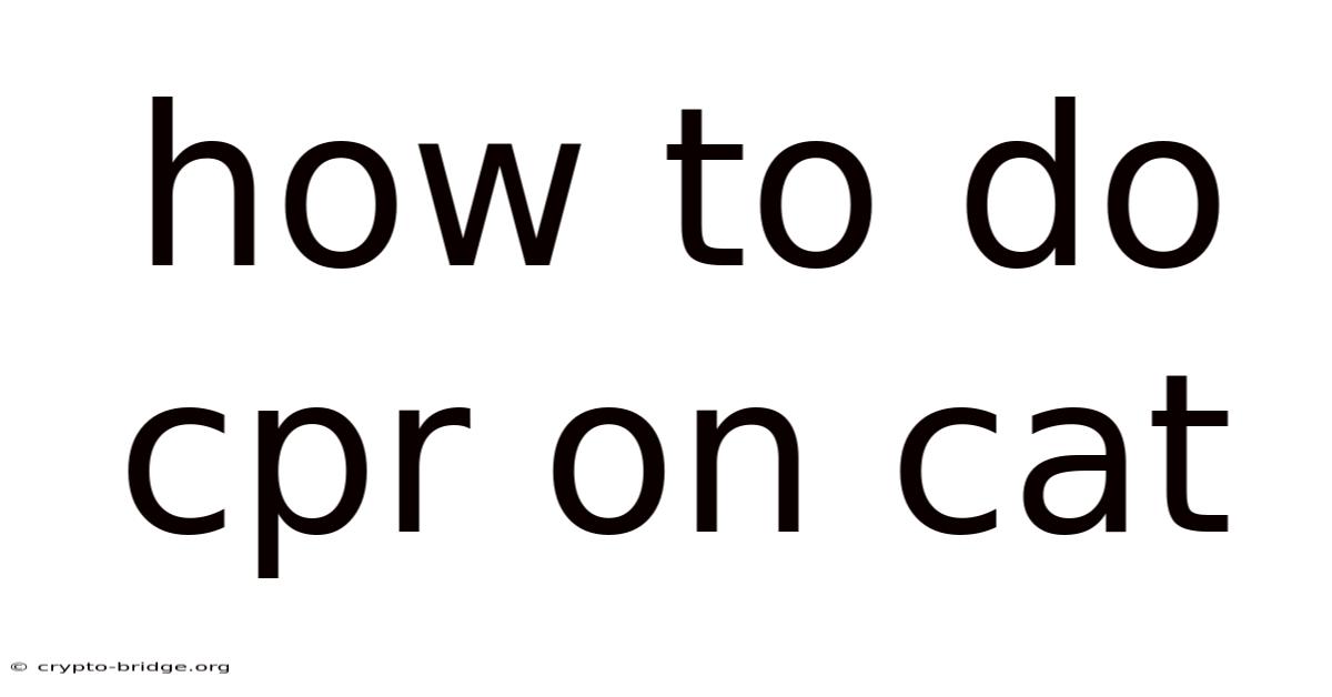 How To Do Cpr On Cat