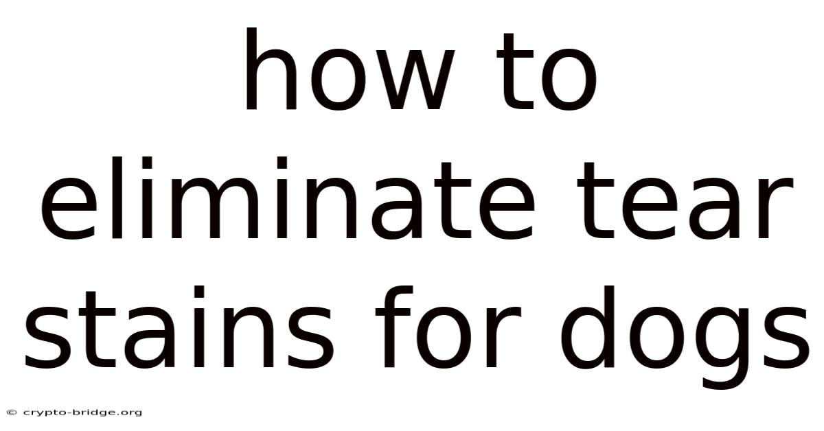 How To Eliminate Tear Stains For Dogs