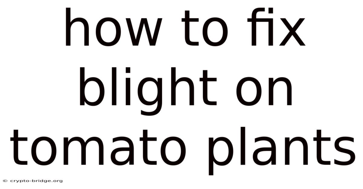 How To Fix Blight On Tomato Plants