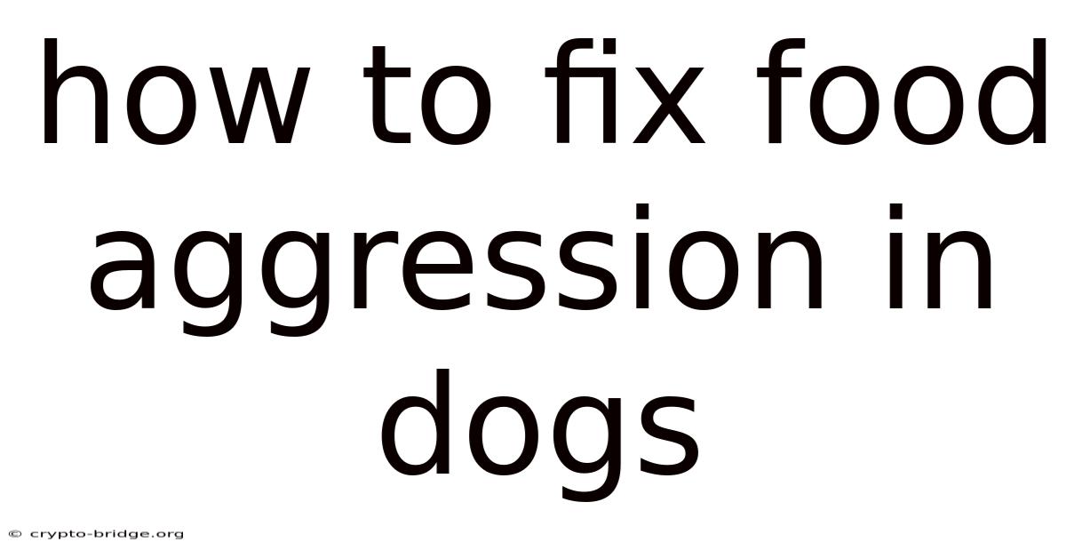 How To Fix Food Aggression In Dogs