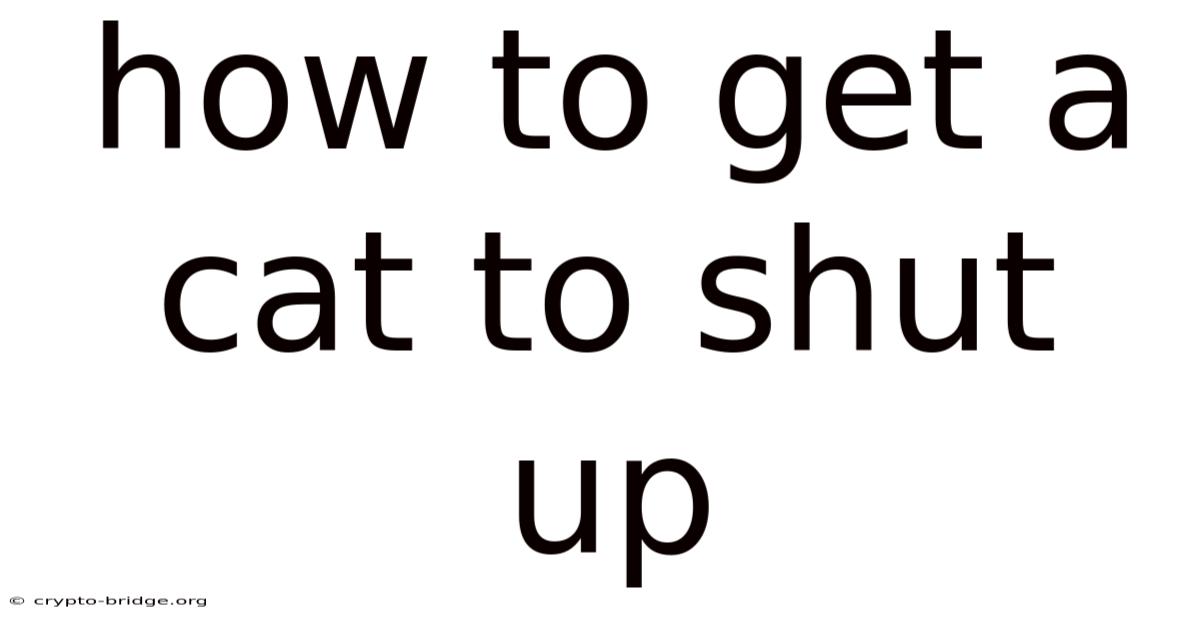 How To Get A Cat To Shut Up