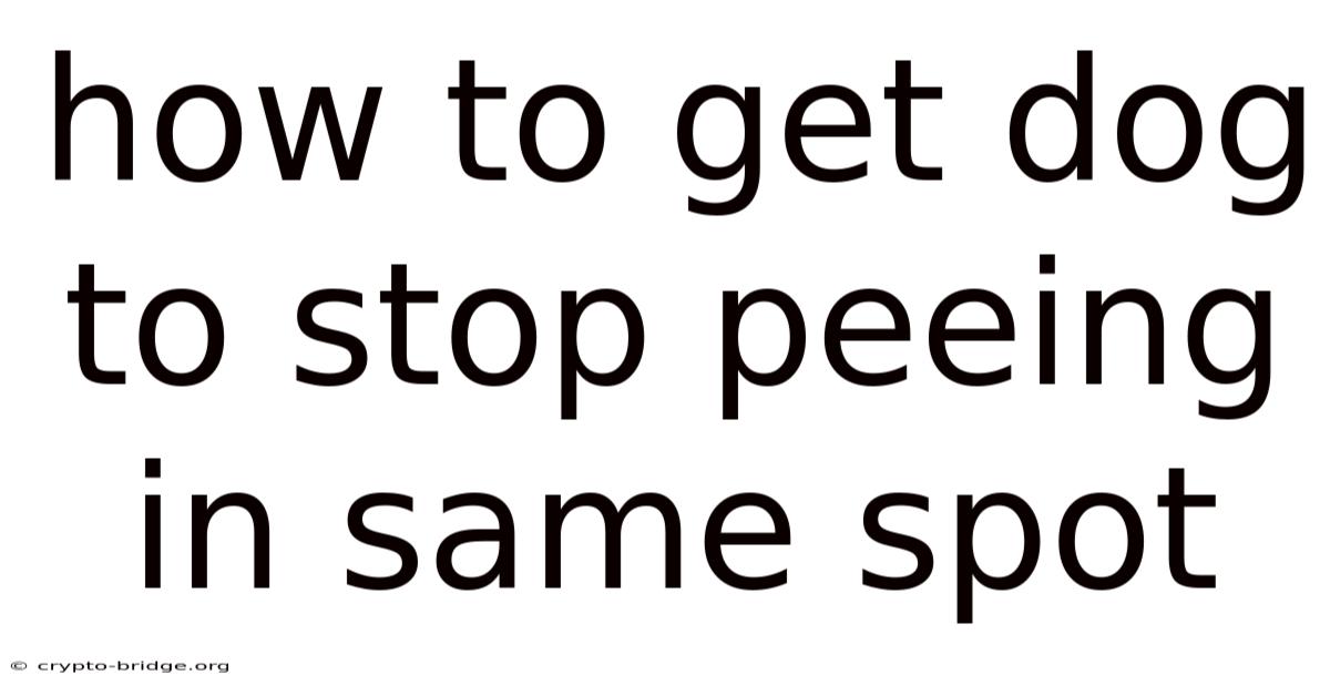 How To Get Dog To Stop Peeing In Same Spot
