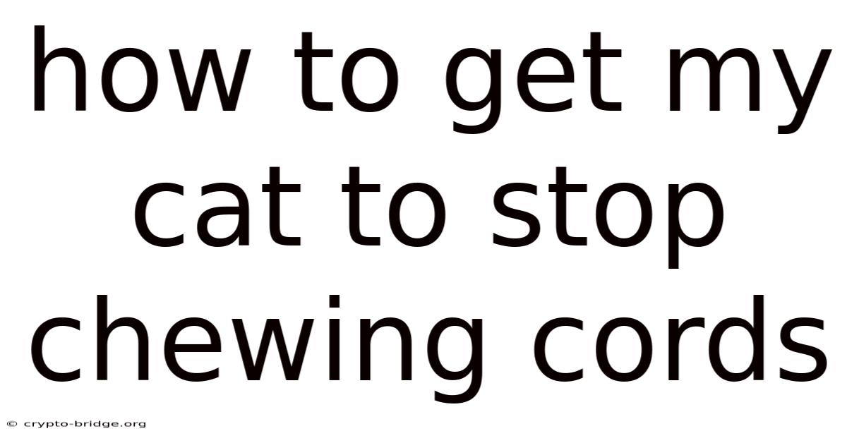 How To Get My Cat To Stop Chewing Cords
