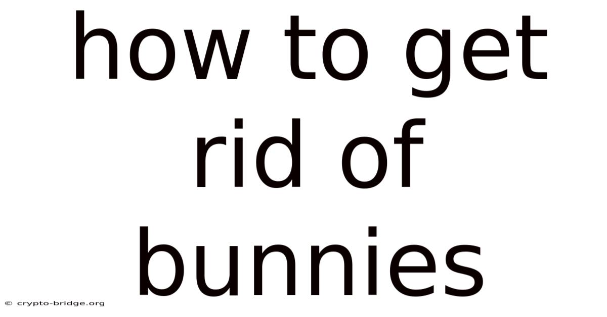 How To Get Rid Of Bunnies