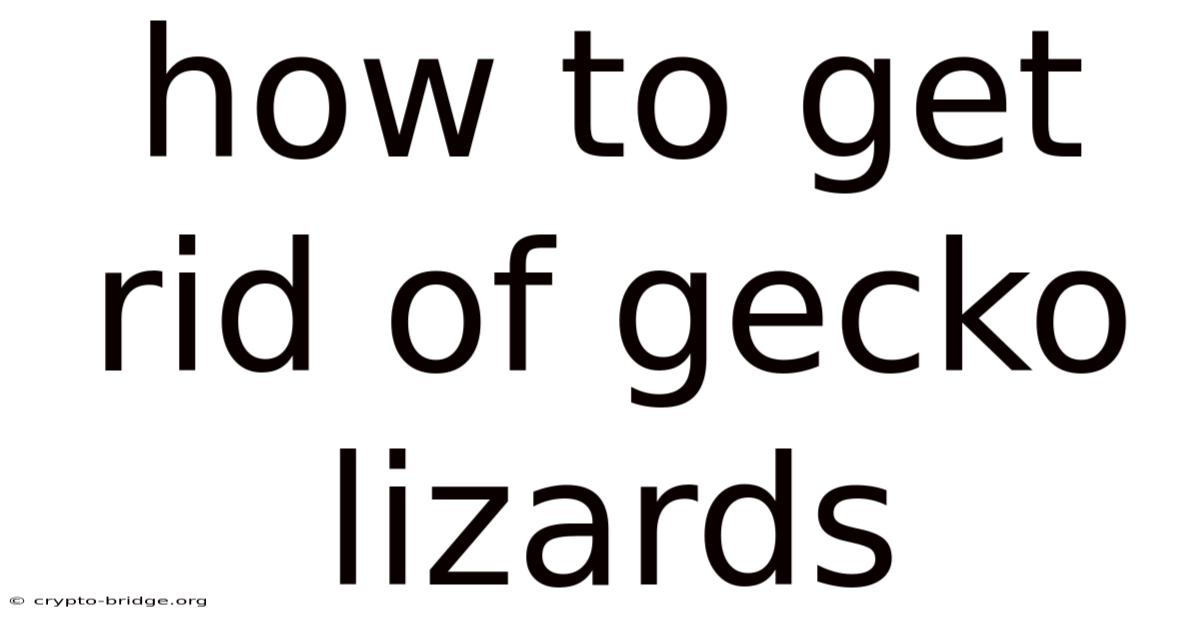 How To Get Rid Of Gecko Lizards