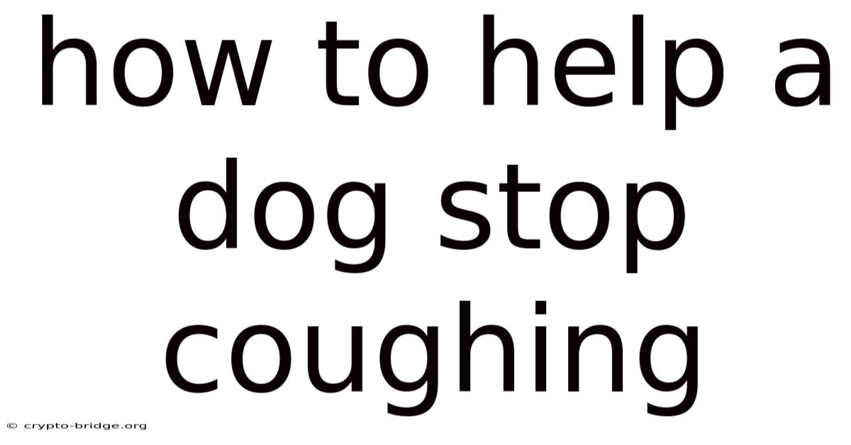 How To Help A Dog Stop Coughing