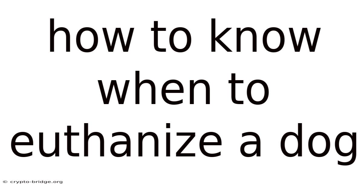 How To Know When To Euthanize A Dog