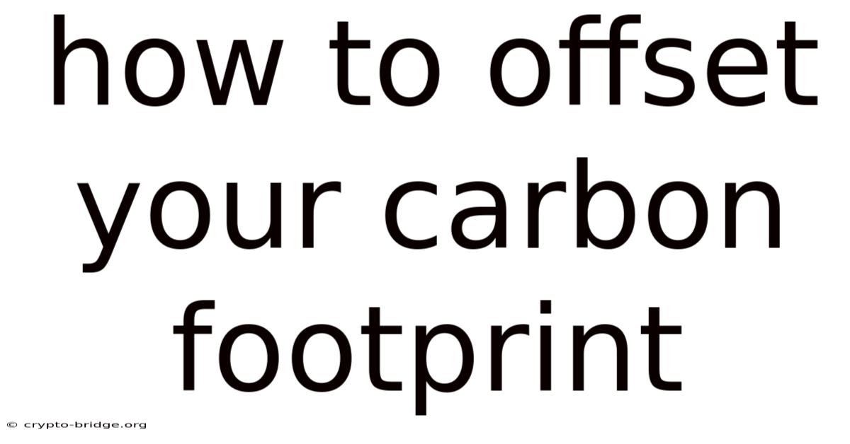 How To Offset Your Carbon Footprint
