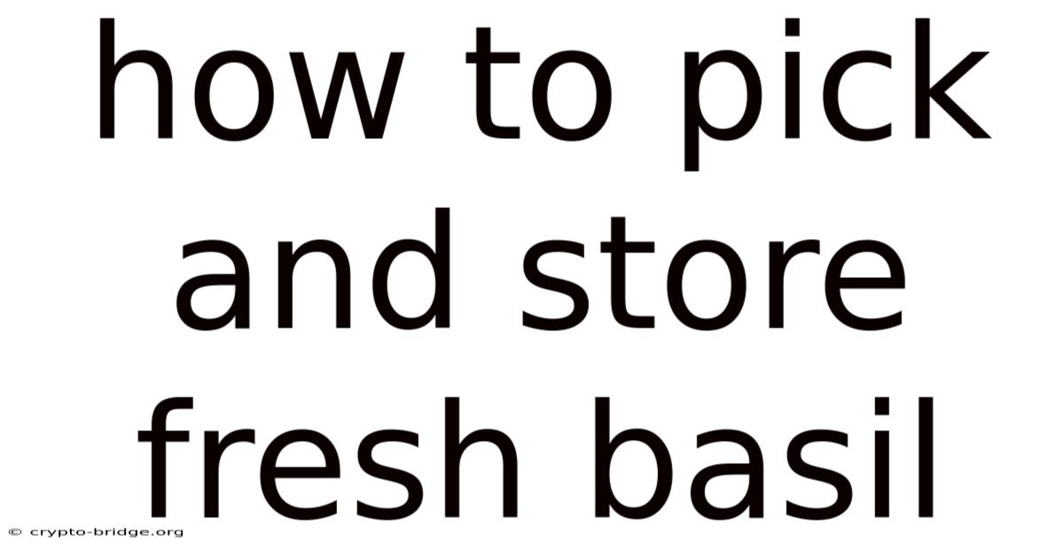 How To Pick And Store Fresh Basil
