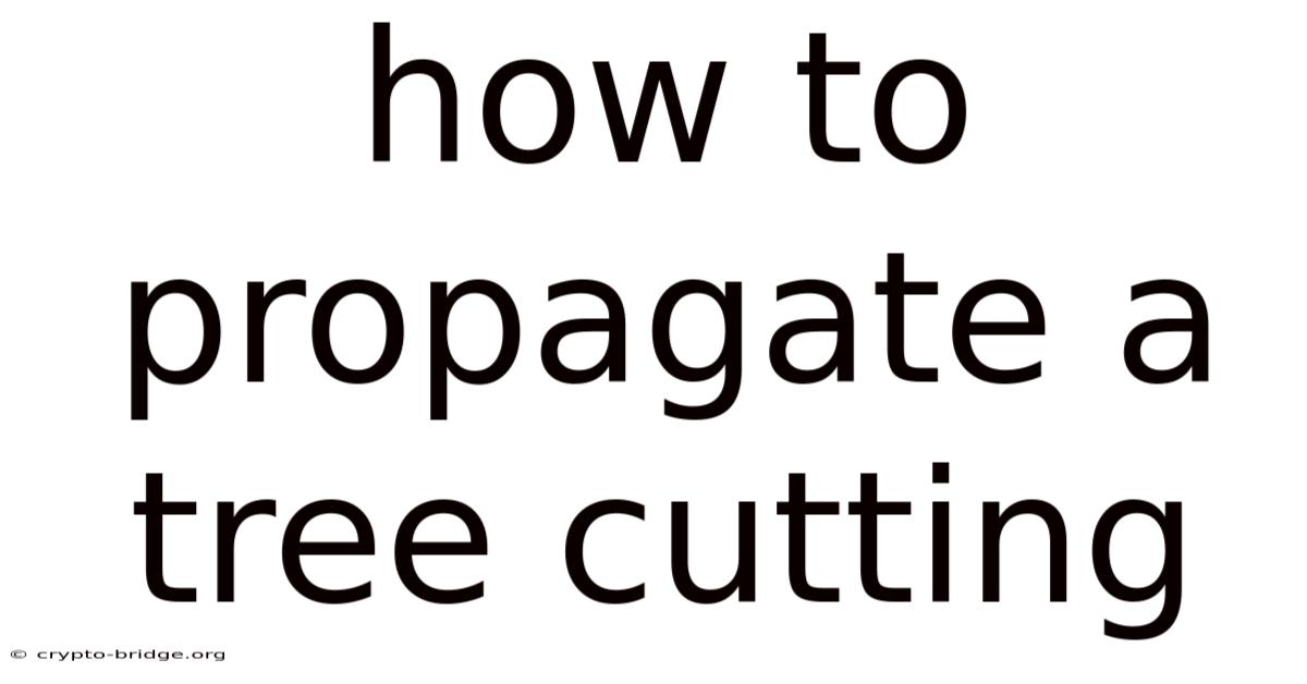 How To Propagate A Tree Cutting