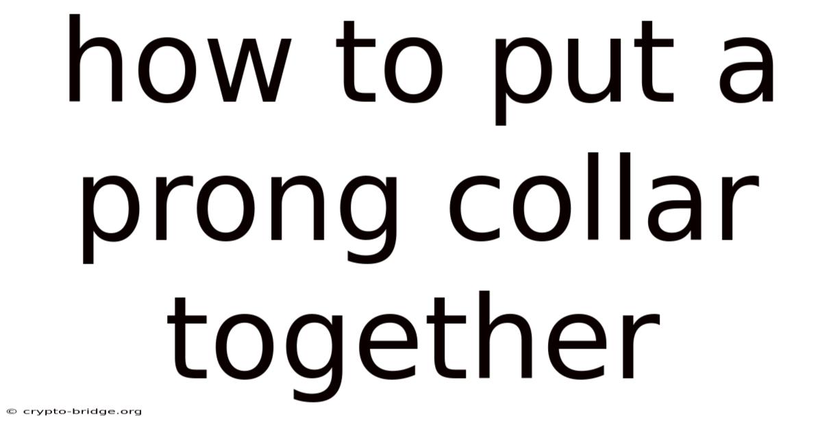 How To Put A Prong Collar Together