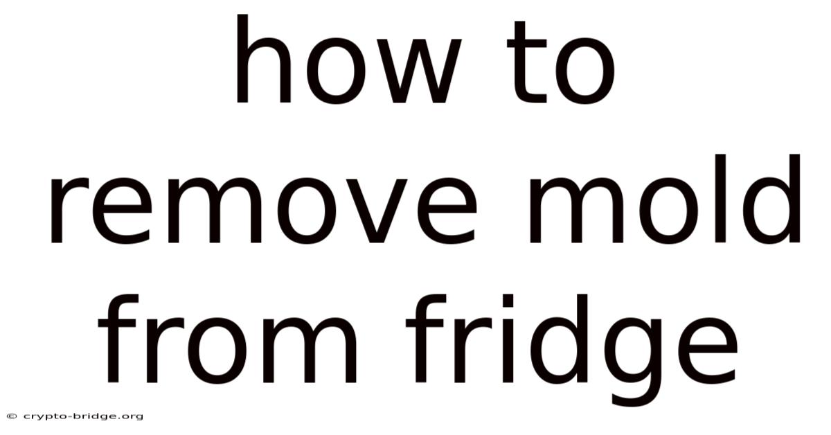 How To Remove Mold From Fridge