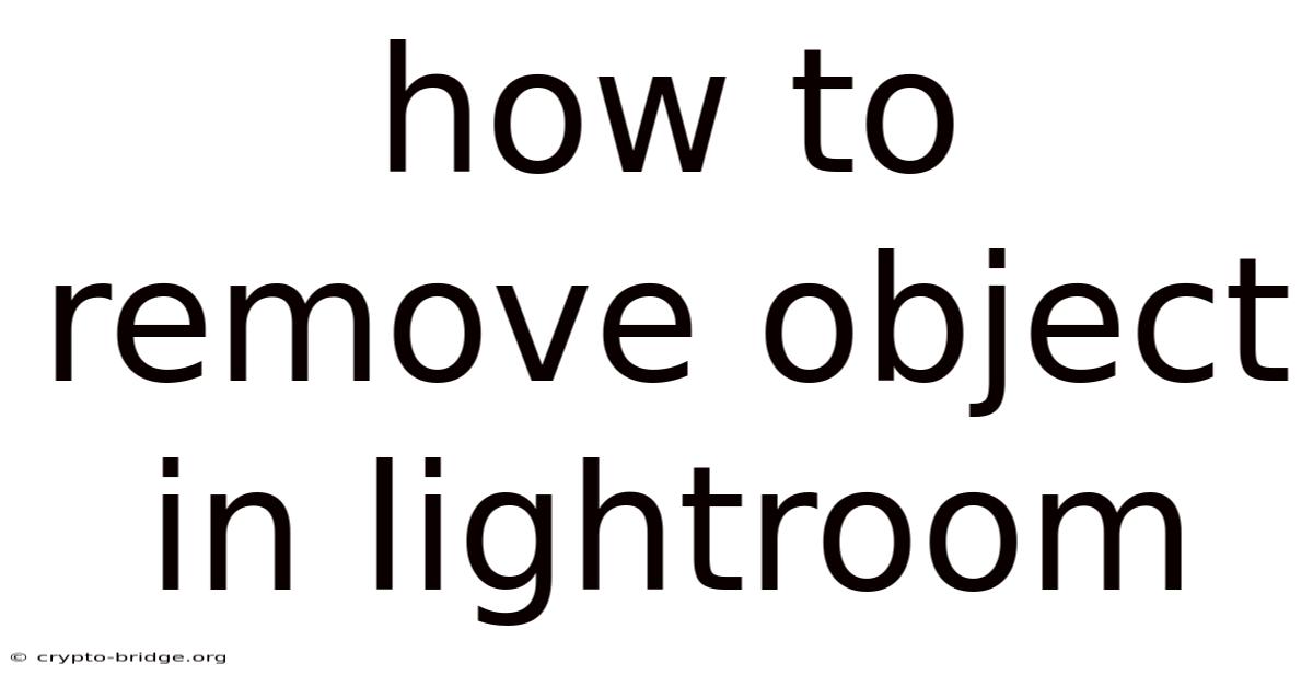 How To Remove Object In Lightroom