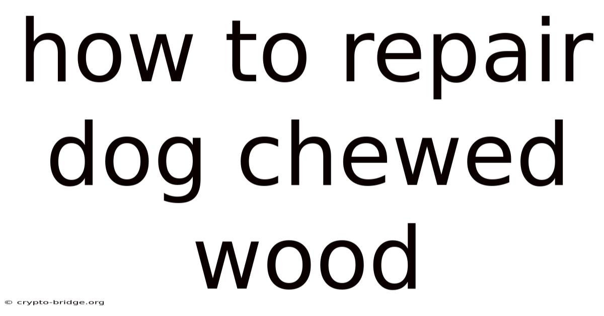 How To Repair Dog Chewed Wood