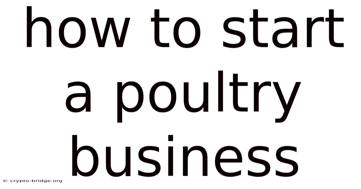 How To Start A Poultry Business