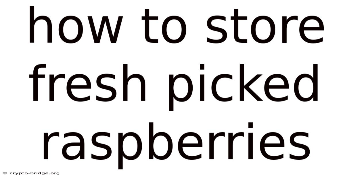 How To Store Fresh Picked Raspberries