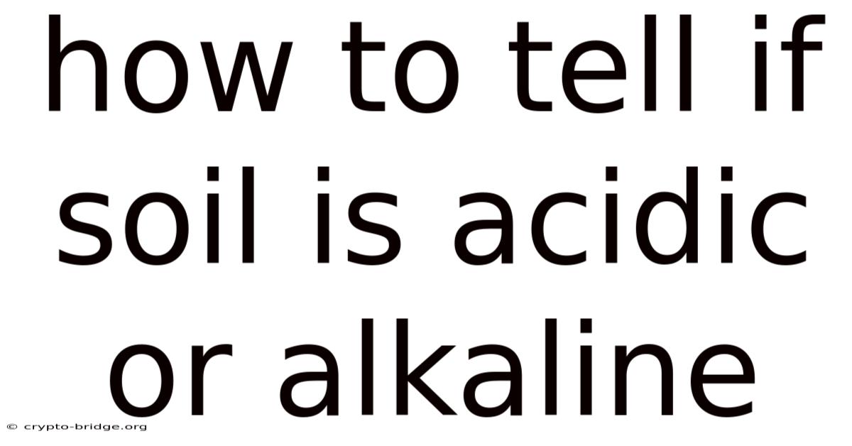 How To Tell If Soil Is Acidic Or Alkaline