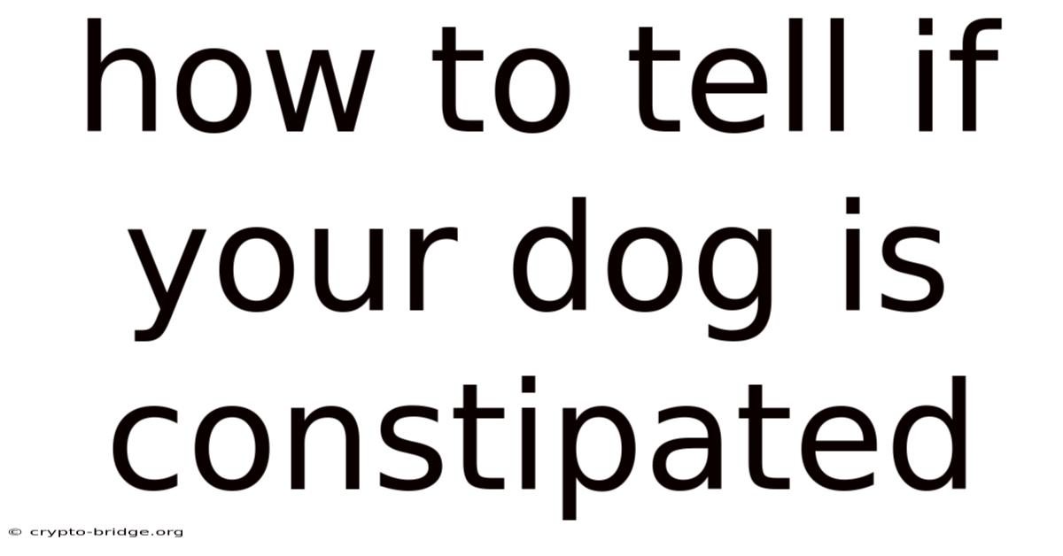 How To Tell If Your Dog Is Constipated