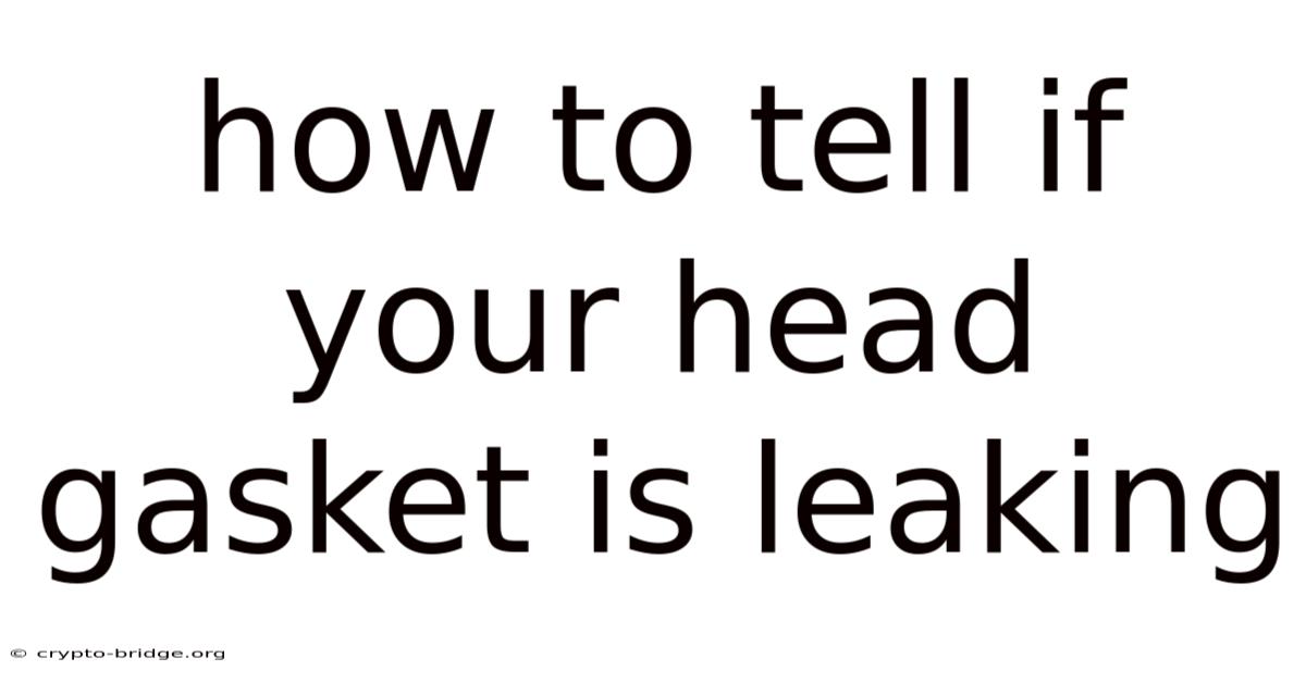 How To Tell If Your Head Gasket Is Leaking