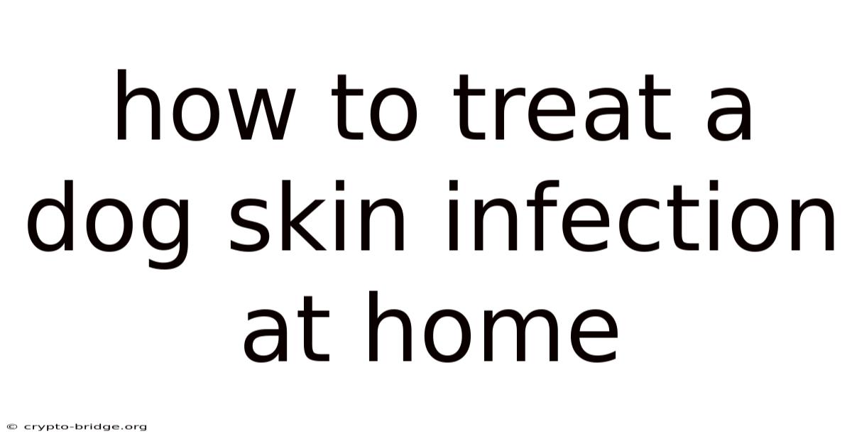 How To Treat A Dog Skin Infection At Home