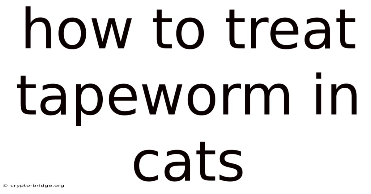 How To Treat Tapeworm In Cats