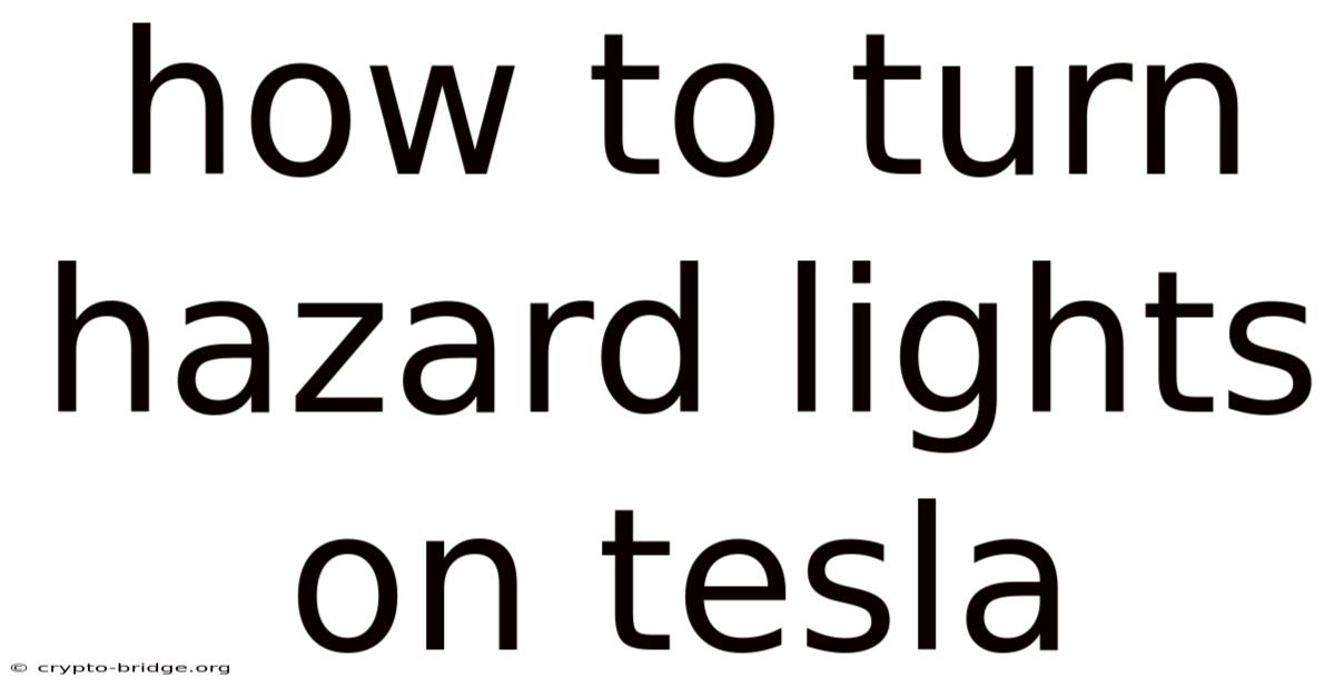 How To Turn Hazard Lights On Tesla