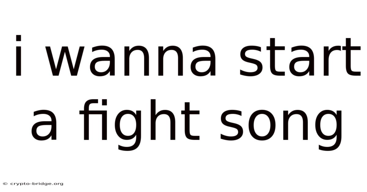 I Wanna Start A Fight Song