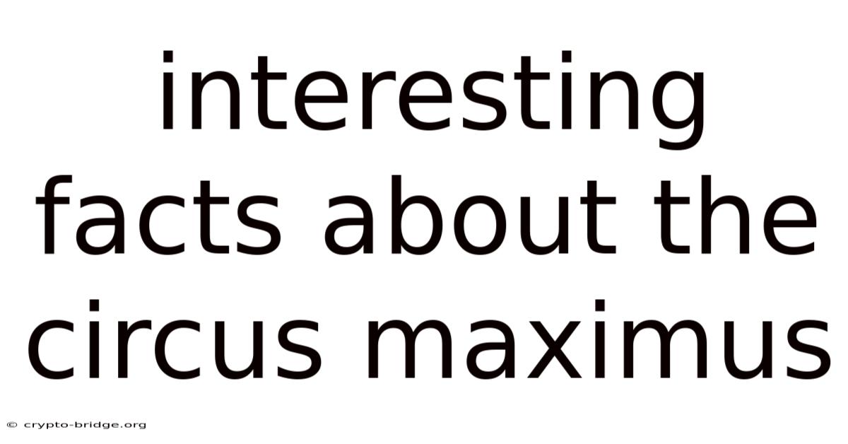 Interesting Facts About The Circus Maximus