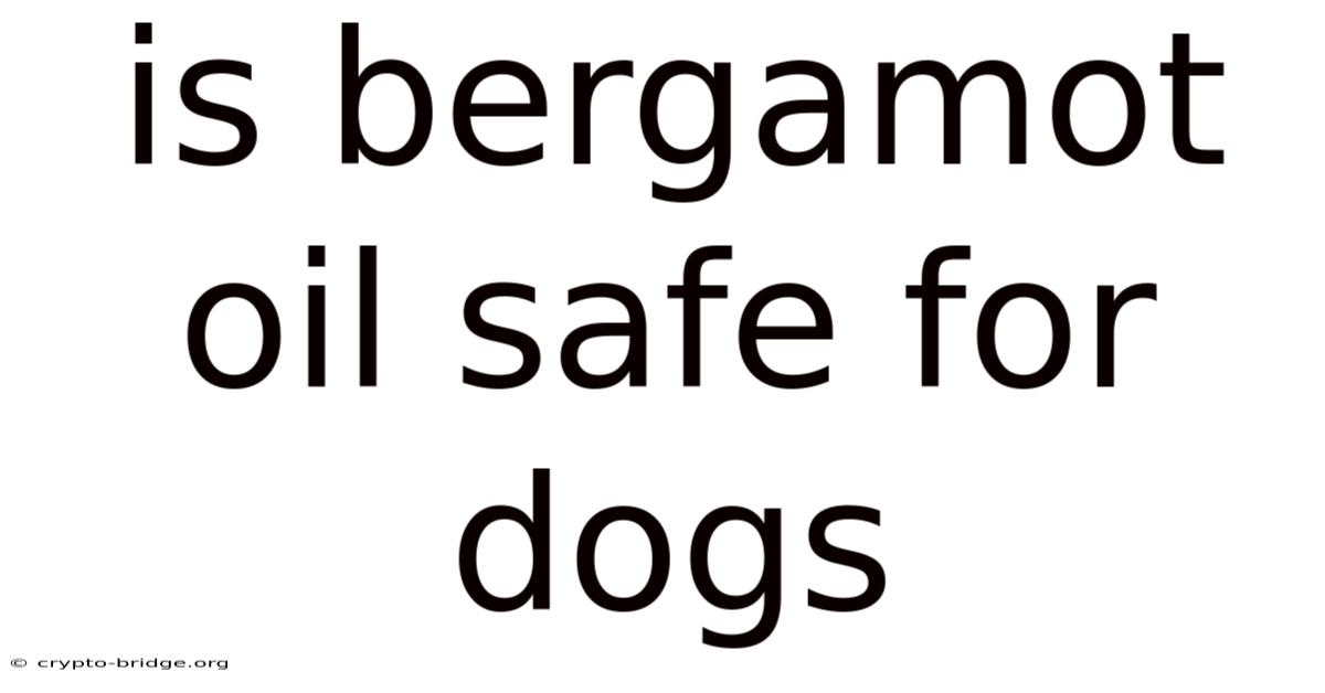Is Bergamot Oil Safe For Dogs